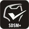 SDSM+